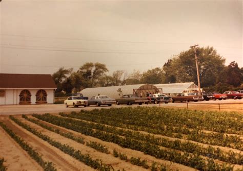 FourTownFarmSeekonk-History21 - Four Town Farm