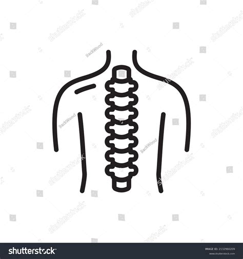 Human Spine Icon Photos and Images | Shutterstock