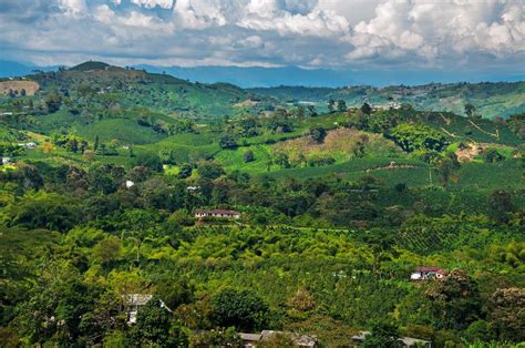 Ultimate Guide to Colombia's Coffee Region | kimkim