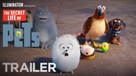 The Secret Life of Pets | Videos | Universal Pictures