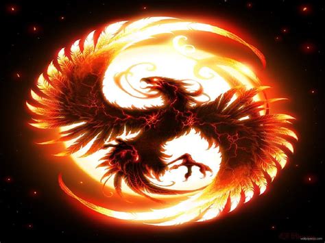 Fire Dragon Wallpapers