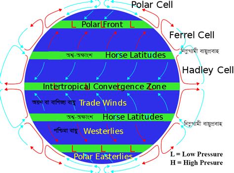 অশ্ব-অক্ষাংশ | Horse Latitude - STUDY RESEARCH