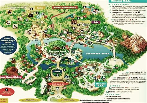 animal kingdom map | Animal kingdom disney, Animal kingdom orlando ...