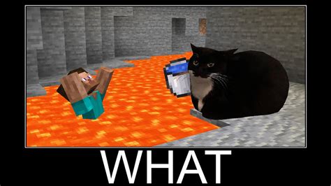 Maxwell the Cat in Minecraft wait what meme part 160 - YouTube