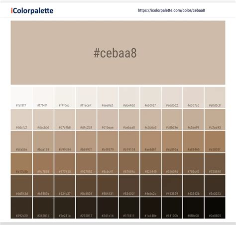 Pantone 14-1209 Tcx Smoke Gray Color | Hex color Code #CEBAA8 ...