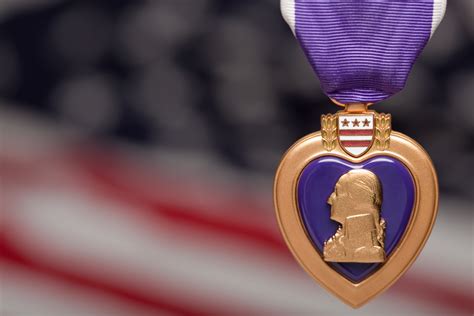 What You Need to Know About the Purple Heart Medal on National Purple ...