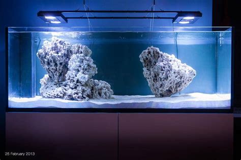 Reef Spotlight: Chris' algae farm (ELOS 160) - REEFEDITION | Reef tank ...