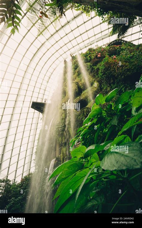 Waterfall at the cloud forest dome in Singapore Stock Photo - Alamy