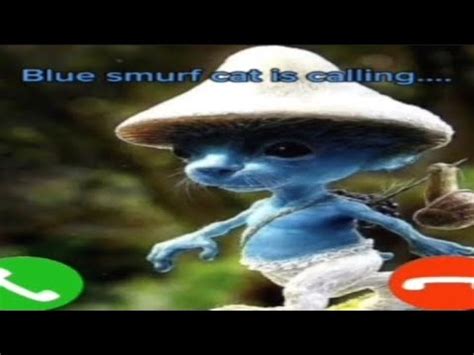 BLUE SMURF CAT😱 - YouTube