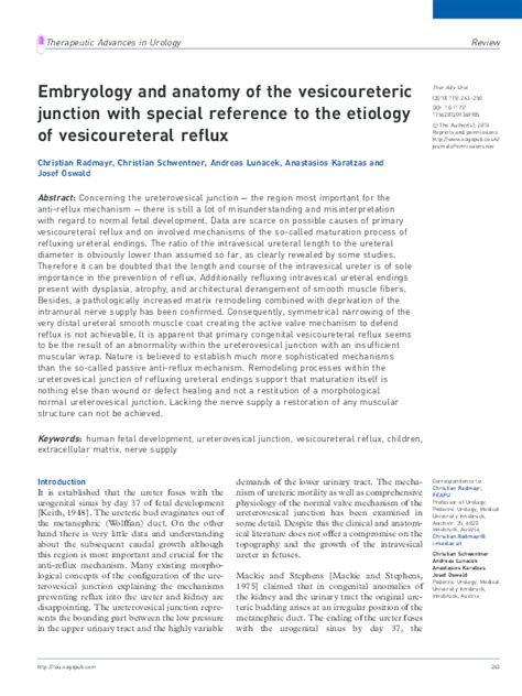 (PDF) Embryology and anatomy of the vesicoureteric junction with ...