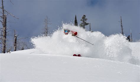 Cat skiing and cat boarding in Fernie British Columbia.