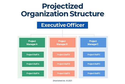 What Is Project Organization And Its Types - Printable Templates Free