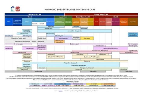 Wellington Antibiotic Chart