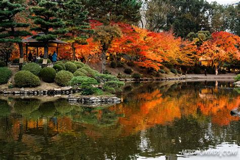 Autumn Colors At The 400 Years Old Shukkeien Garden, Hiroshima - Nerd ...