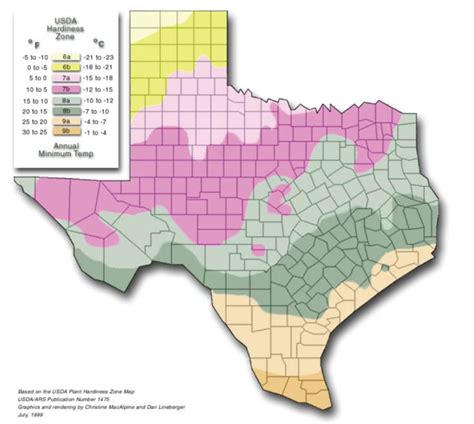 texas-vegetable-planting-calendar