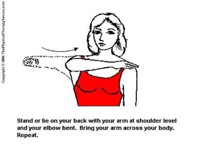 Shoulder Exercises from ThePhysicalTherapySource.com: Shoulder ...