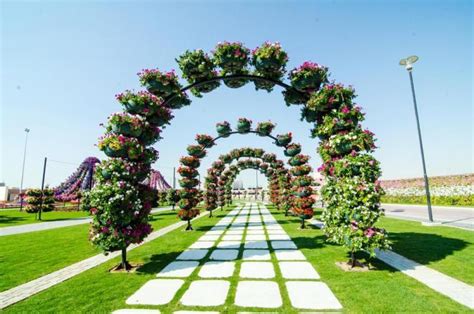 World Rare Collection: Dubai Flower Show