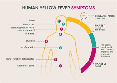 Yellow Fever Vaccination, Streatham - Westbury Chemist