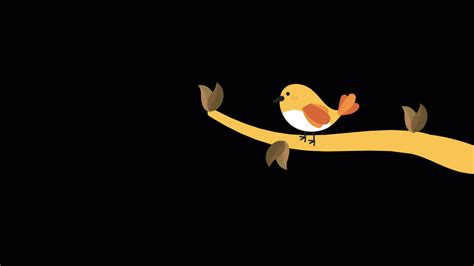 Bird 2D Animation 36249592 Stock Video at Vecteezy