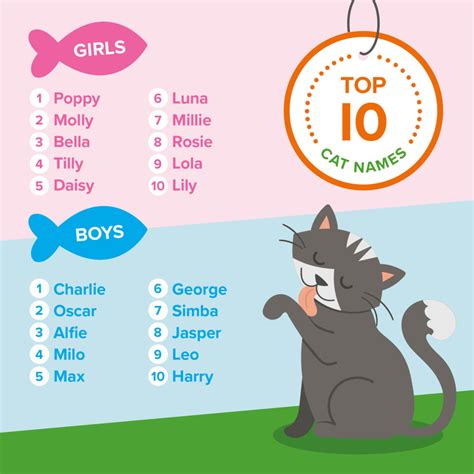 Animed Direct's Top Pet Names