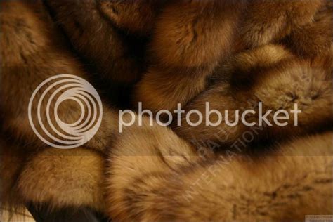 6-559-Sable-fur-blanket.jpg Photo by southernbibelle | Photobucket