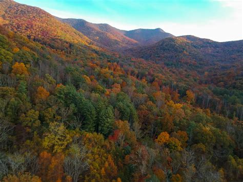 The Blue Ridge Mountains During peak Autumn Foliage Near Asheville ...