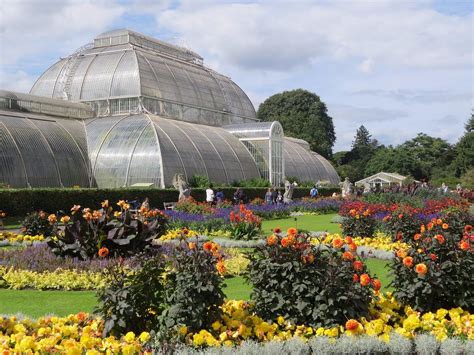 Royal Botanic Gardens, Kew - All You Need to Know BEFORE You Go (2024)