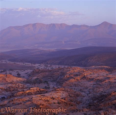 Namib Desert at sunrise photo WP06988