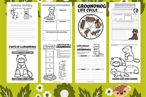 Life Cycle of a Groundhog Worksheet (8 Free Activities)