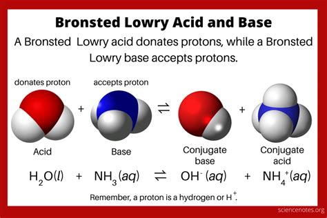 Bronsted Lowry Acid and Base Theory