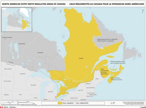 CFIA enacts urgent measures to prevent spread of gypsy moth on nursery ...