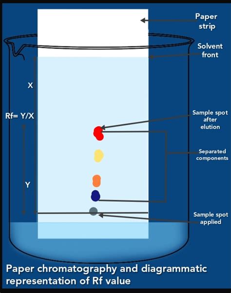 Chromatography Diagram Labeled