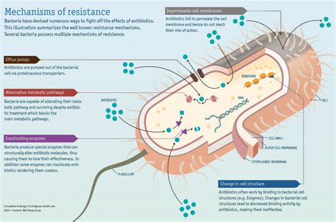 Infographic about the mechanisms of antibiotic resistance in bacteria ...