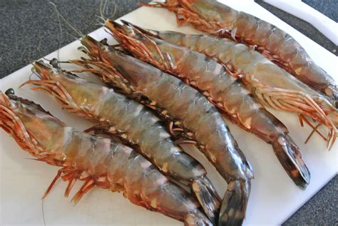 Black Tiger Shrimps Suppliers, Asian Tiger Shrimps, Giant Shrimps ...