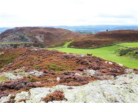 Conwy Mountain | Where2Walk