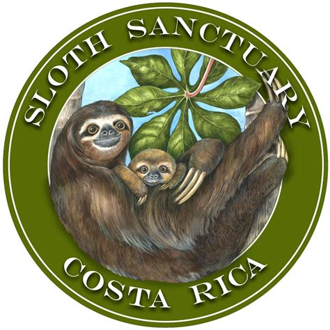 This is painting #40 The new "Official" #Sloth Sanctuary Logo. You can ...