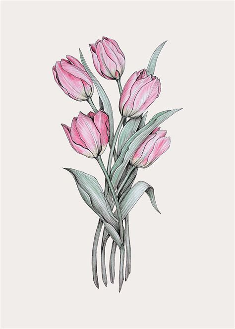 Bouquet of tulips Art Print by Olga Shashok | Tulip drawing, Tulips art ...