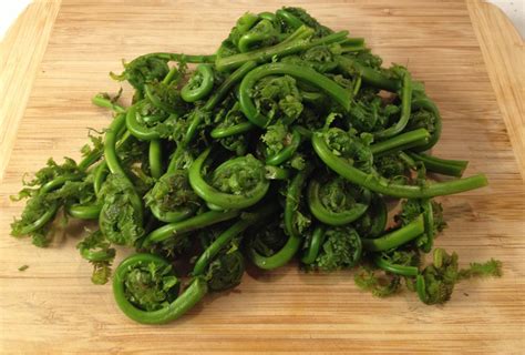 Fiddlehead ferns - LOVE-the secret ingredient