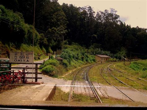 Ohiya, Horton Plains National Park | Sri Lanka | Holidify