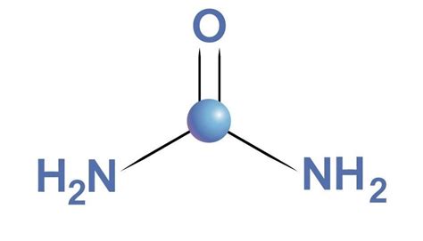 What Is Urea Made Of? How Is Urea Produced?