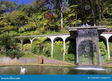 Botanical Garden in Funchal, Madeira Editorial Photo - Image of asian ...