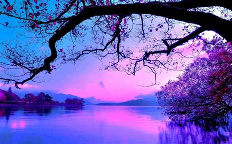 After 2 years of dropping Photoshop, decided to do a dreamy water-lake ...