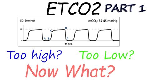 Capnography Waveform Interpretation (Etco2 basic's explained) - YouTube