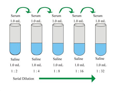 Serial Dilution Calculation Examples - borenew