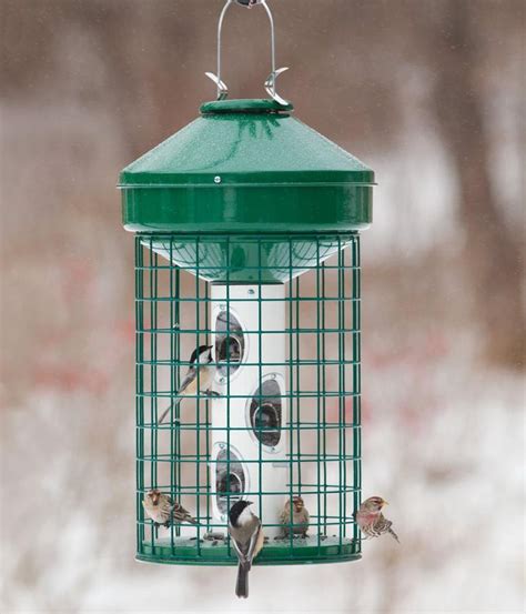 Bird Feeder Cage Large Birds | Bird feeders, Best bird feeders ...