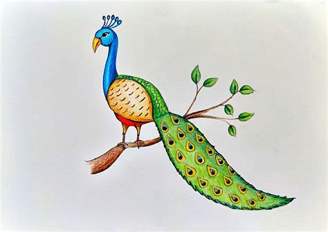 how to draw a beautiful peacock step by step for kids | Easy drawings ...