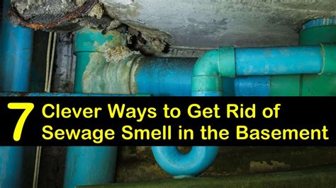 7 Clever Ways to Get Rid of Sewage Smell in the Basement