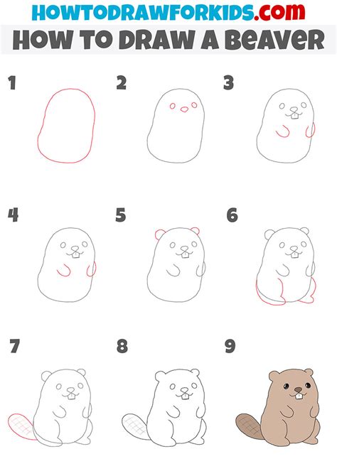 How to Draw a Beaver - Easy Drawing Tutorial For Kids