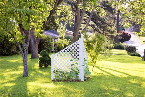 How to Build a Simple Corner Trellis - Bonnie Plants | Diy garden ...