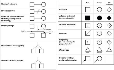 There is a set of agreed symbols to use when drawing a pedigree. In ...